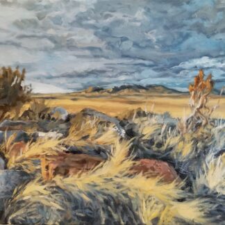 Montana Hills Art Print