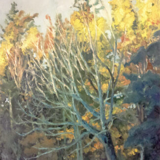 painting of a tree in morning light