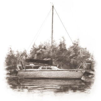 Orcas Island Sailboat Art Print Drawing