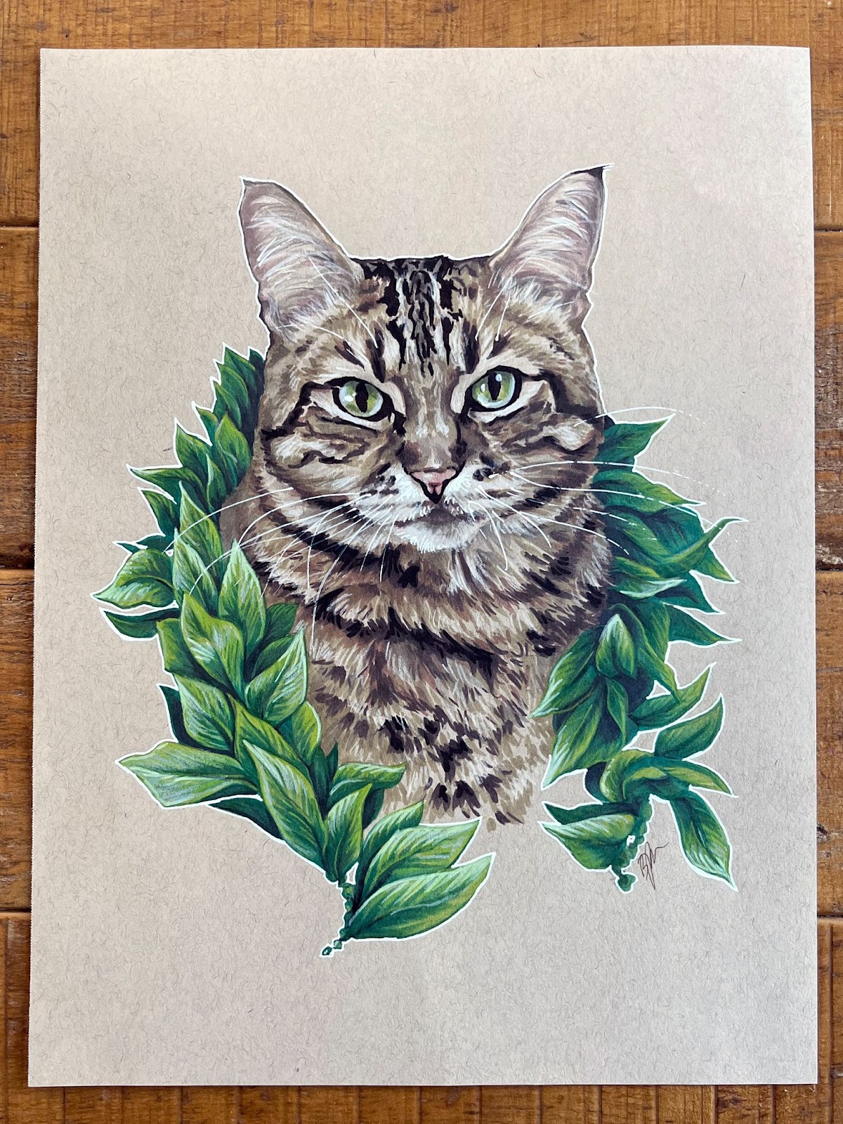 pet portraits