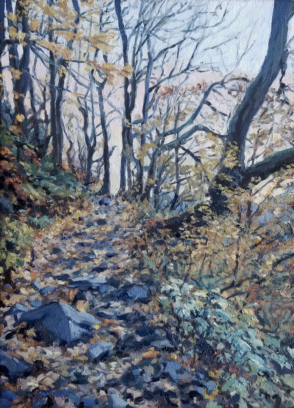 fall leaves strewn across a trail upon a mountainside of trees