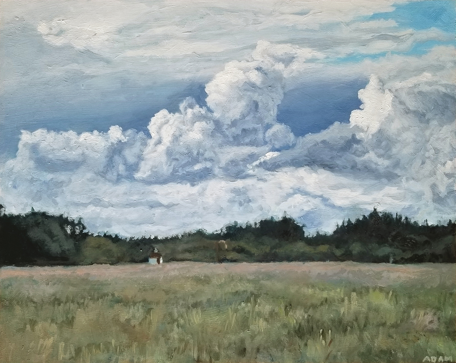 oil painting of magnificent clouds over a green meadow and distant dark trees