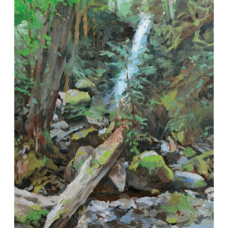 Forest Waterfall Art Print